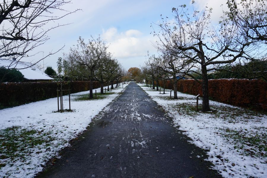 Winteratmosphäre mit Schnee