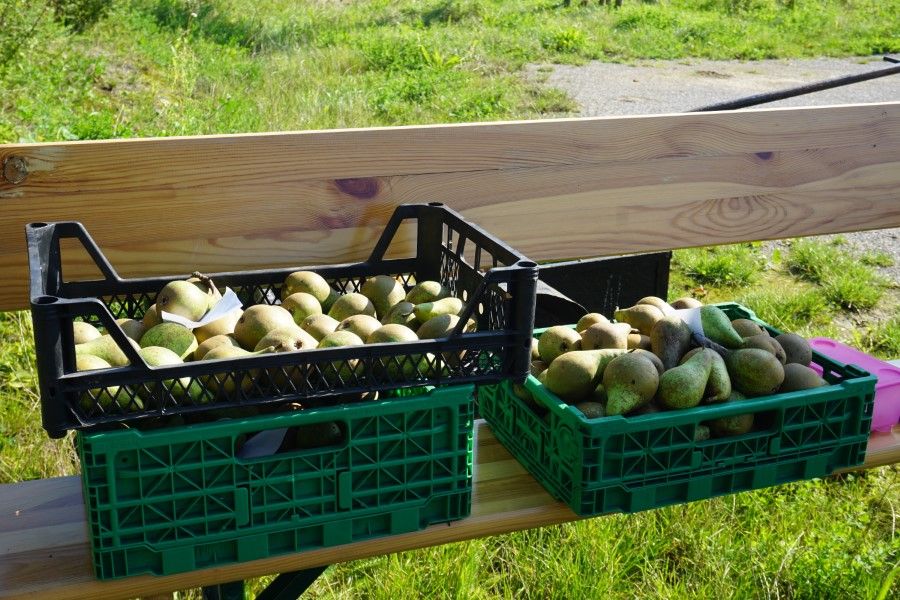 Birnen und Äpfel im Angebot