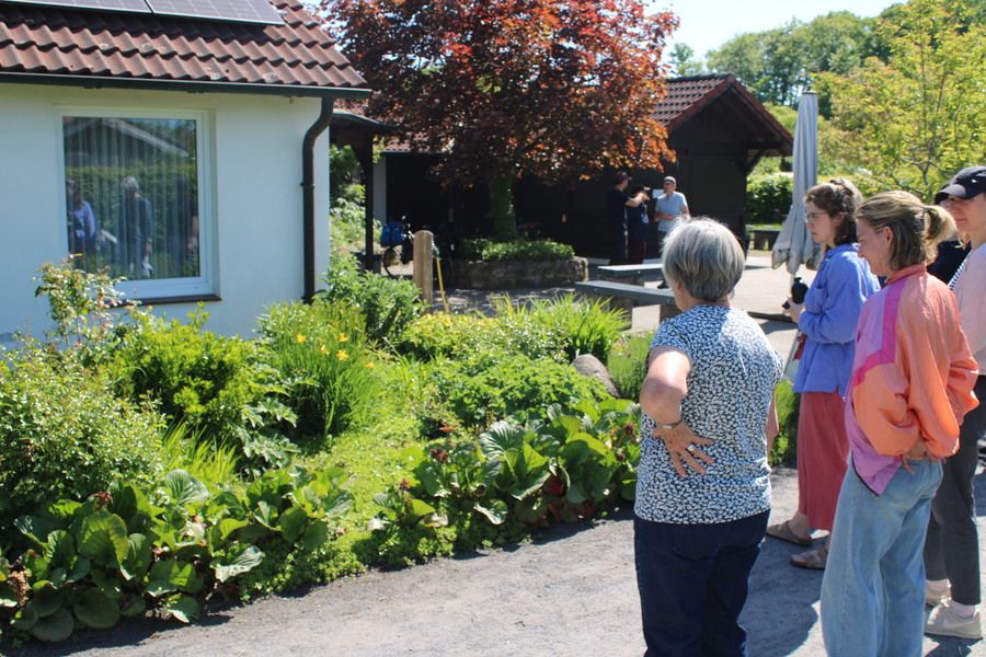 Gartenmitglieder betrachten ein Staudenbeet