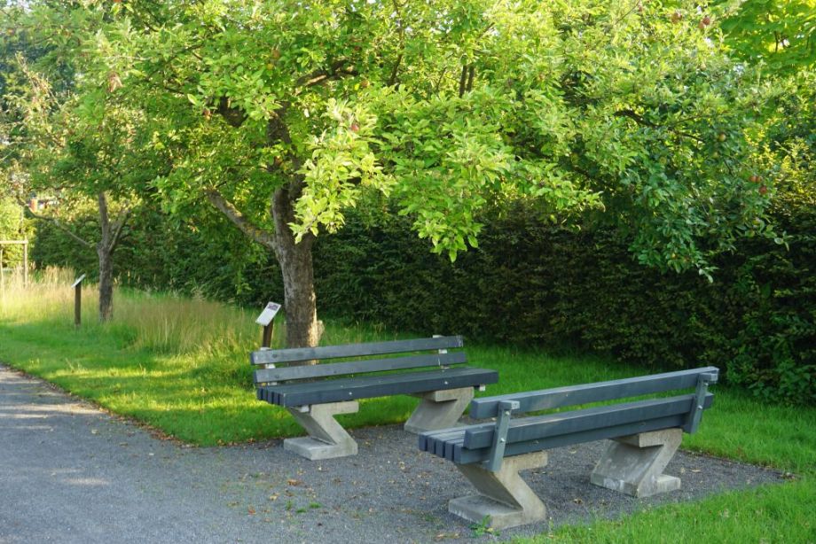 Zwei Bänke laden zum Verweilen ein